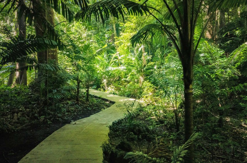 Welchman Hall Gully, Saint Thomas, Barbados